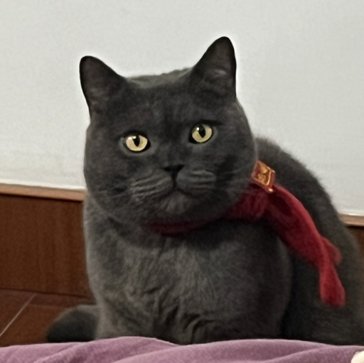 北山君DAYZ