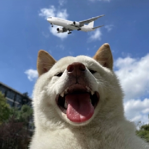你看我吊吗i