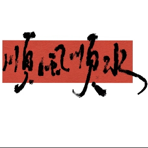 财税小陆