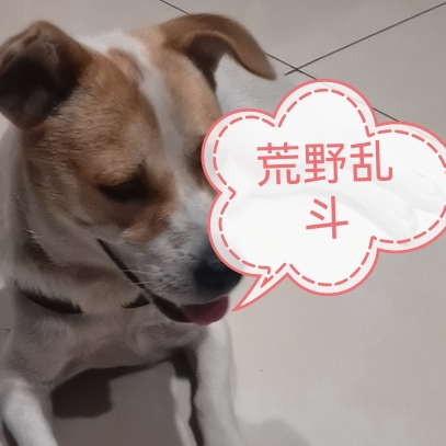 cnbs未来