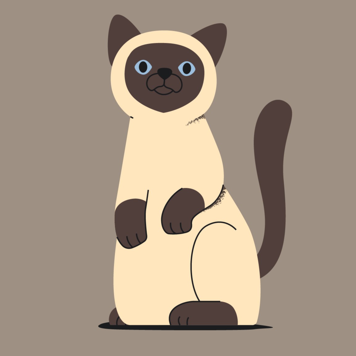 凡人程序猿