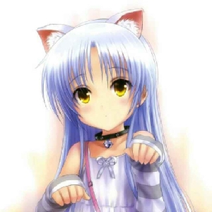 小陈xyz