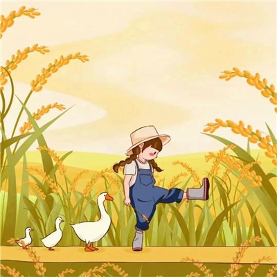 连阳的日记