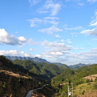 泡沫白小白