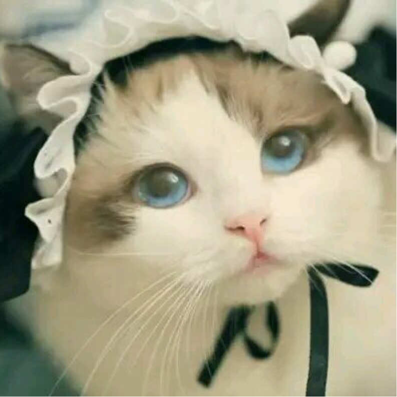 2019年4月炉石传说退环境卡牌,这些实用强力