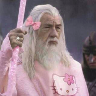 菜狗子的吃鸡之路直播间 - 伯母您好我是您儿子