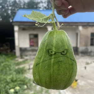 潮汕张无忌