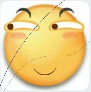 小阳光肥鱼
