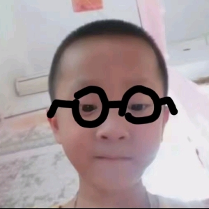 玩机的学生党