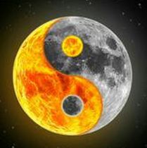 中国安财小哥