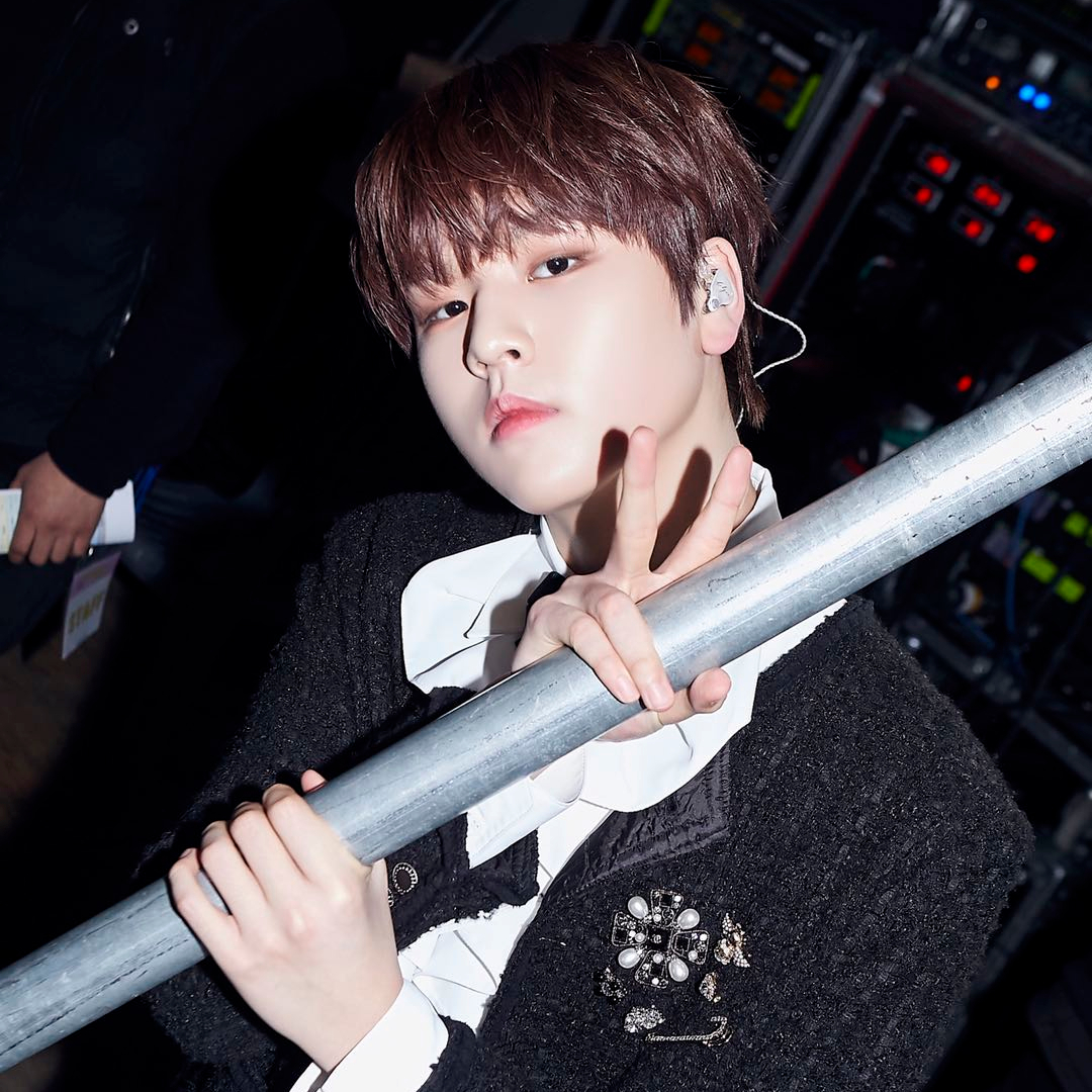 南道贤自我介绍合集mp4