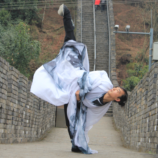 原速:逍遥师傅一字侧踢