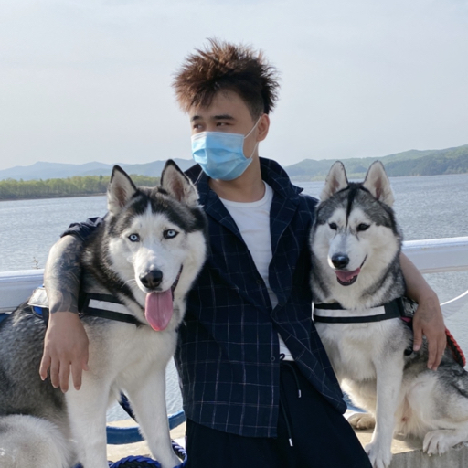 奥斯卡是高富帅哈士奇
