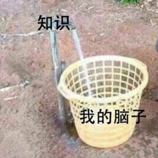建筑师金蜜儿