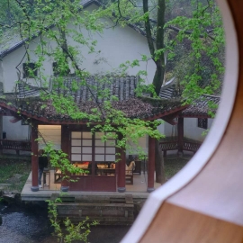 神医策略