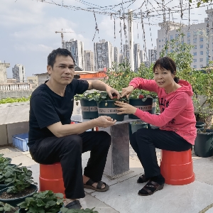 牛哔哩,一个只有评论的网站