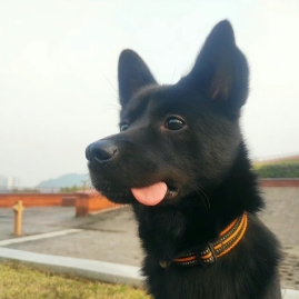 跨境小石