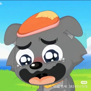 他们叫我灰太狼