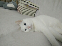 hiddenface