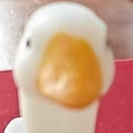 小杯饭堂