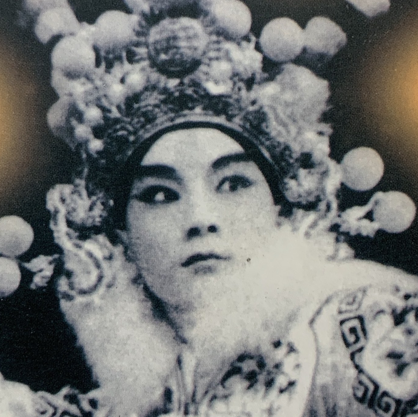 小楊月樓藝術特色 主講人:楊明