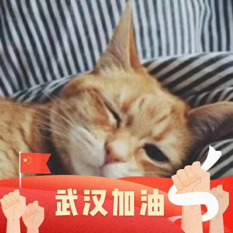 ZhaoHuiYang
