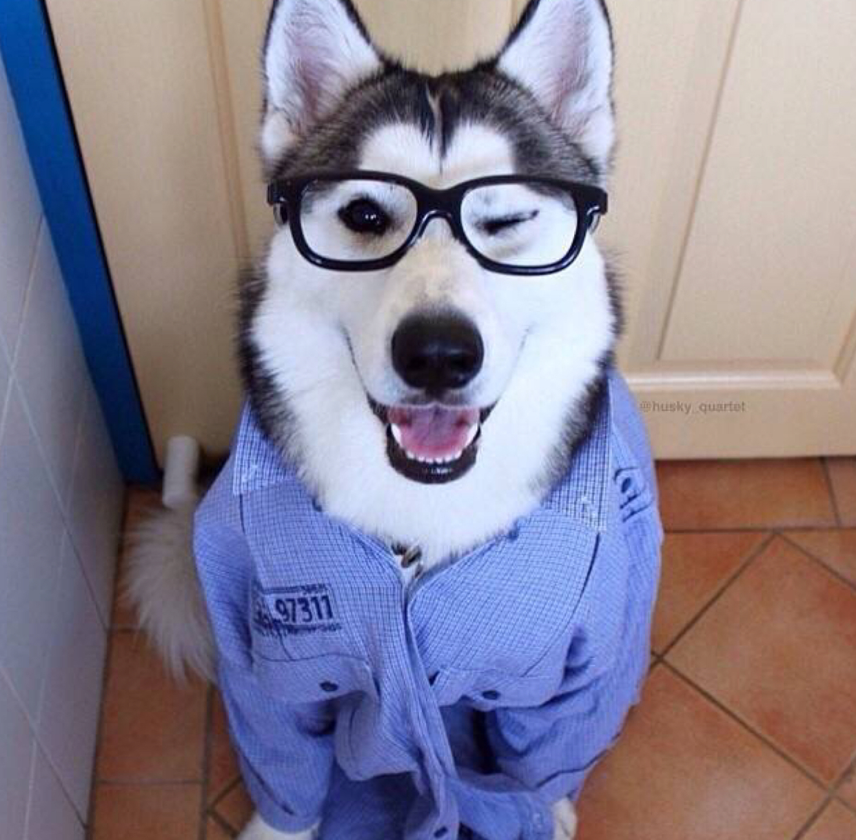 剑网3聚散流沙两周年纪念