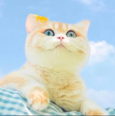 海碗吃饭