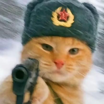 星眠书玉