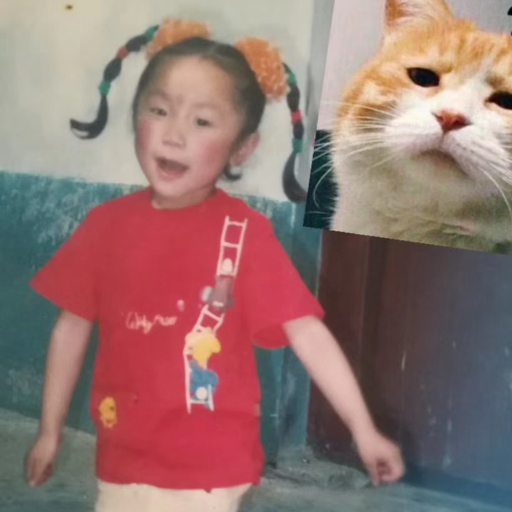 孙悟书