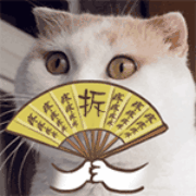 拆迁搬运大队