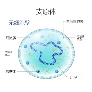 牛哔哩,一个只有评论的网站