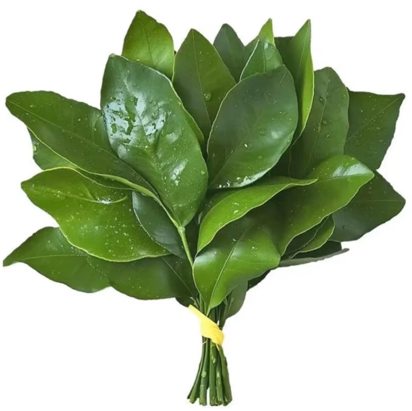 特别想吃蛋包饭