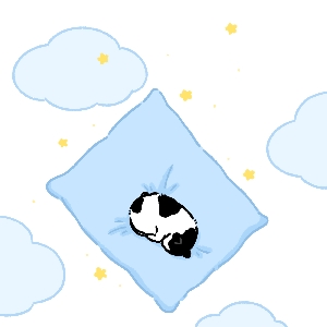 小智智智zzzz