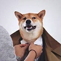 小晨数码