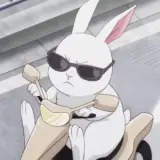 朝焼けの花 哔哩哔哩 Bilibili