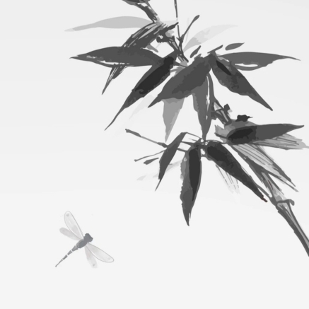 墨尺老师说软测