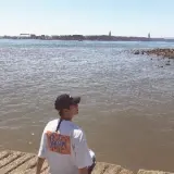 圣女贞德 月光花 Pv 哔哩哔哩 Bilibili