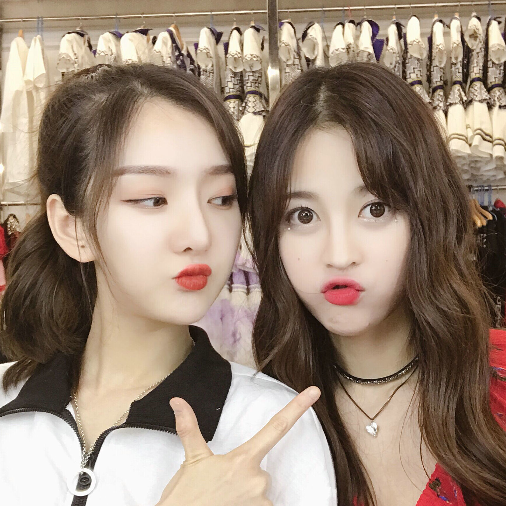 【bej48丸美】安利大礼包1.0资料站