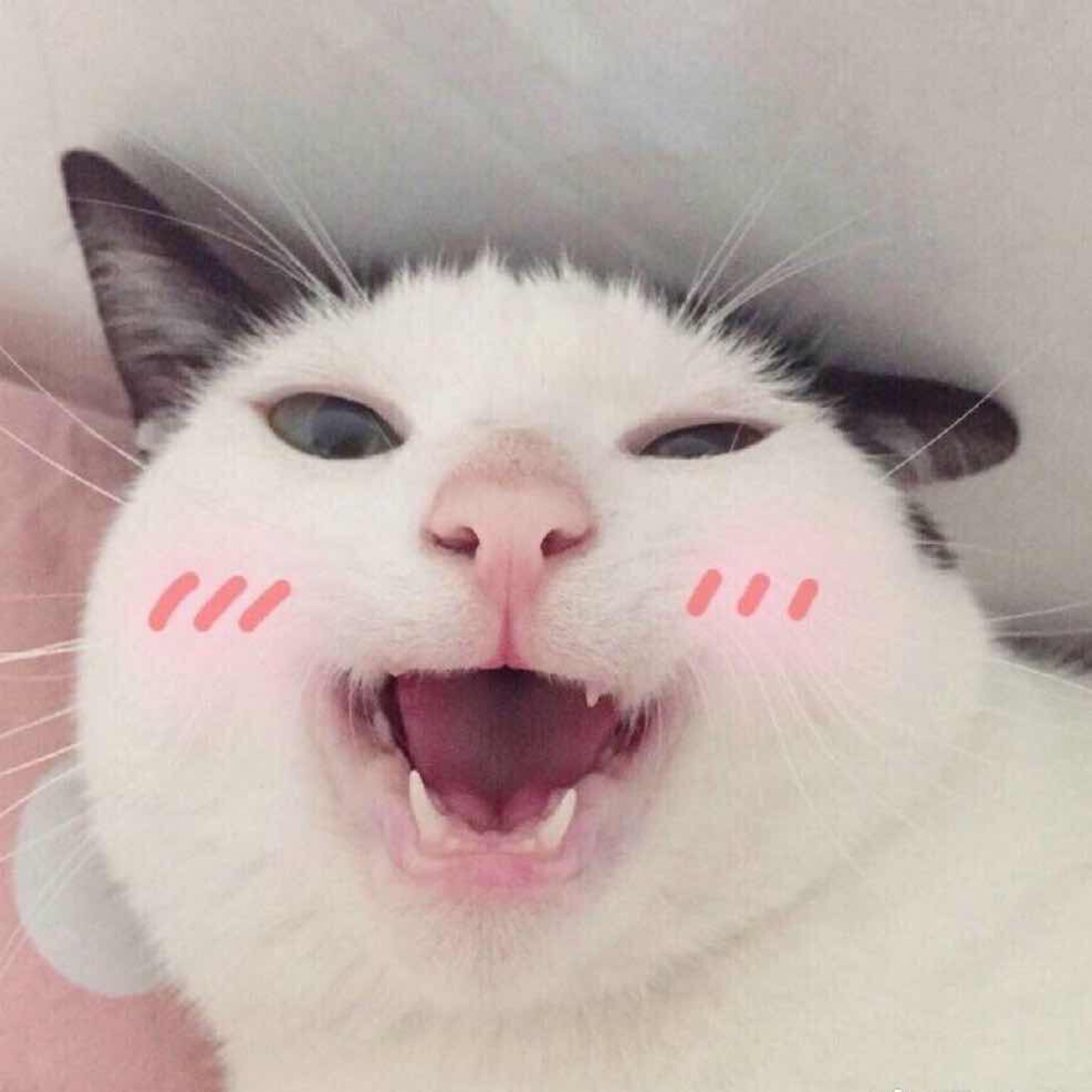 德克萨斯电锯虾仁狂