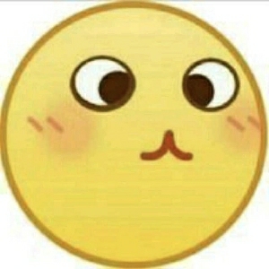 林某人XO