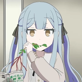 IT小秋