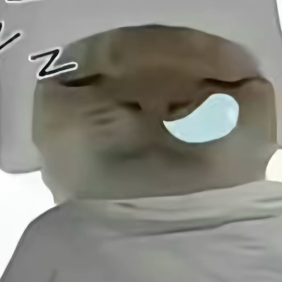哈基鼠本鼠