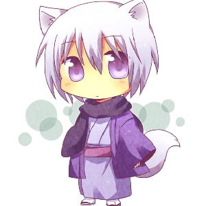 光明传奇