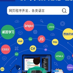 计算机毕设程序