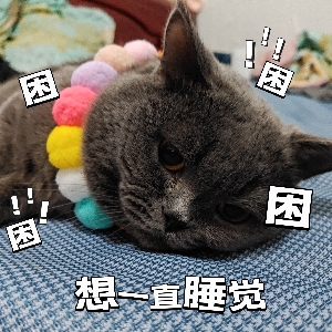 不爱吃零食的栗子