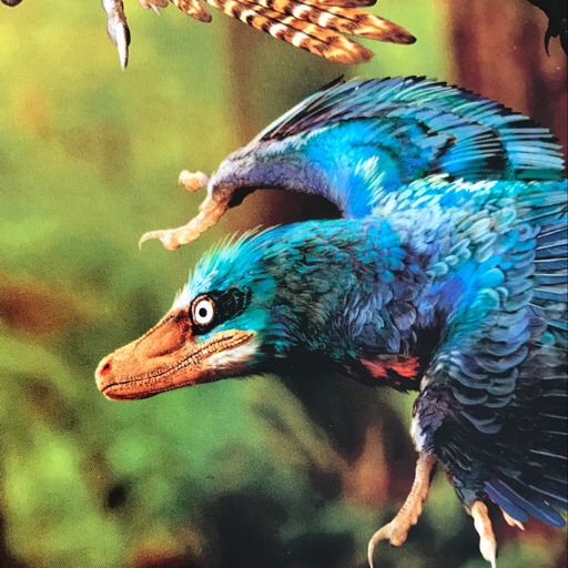 山东发现身上长满尖刺的新恐龙