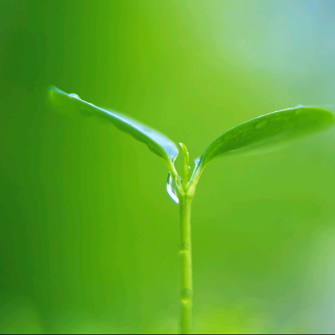 李玹珠新网剧第一集不完整cut