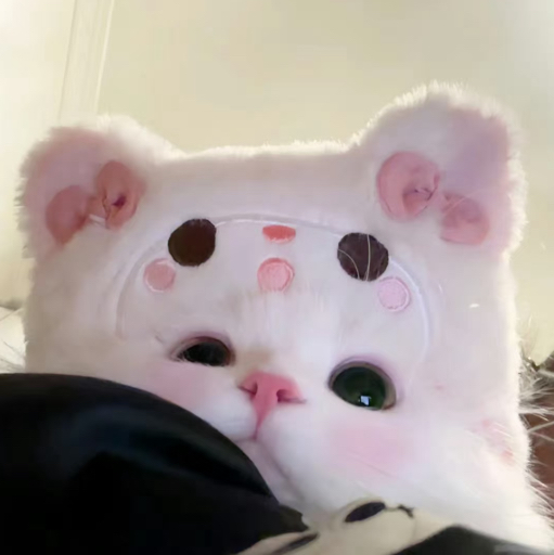 鲨鱼纸盒喵