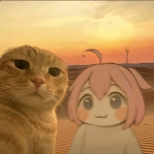 圆头小耄-
